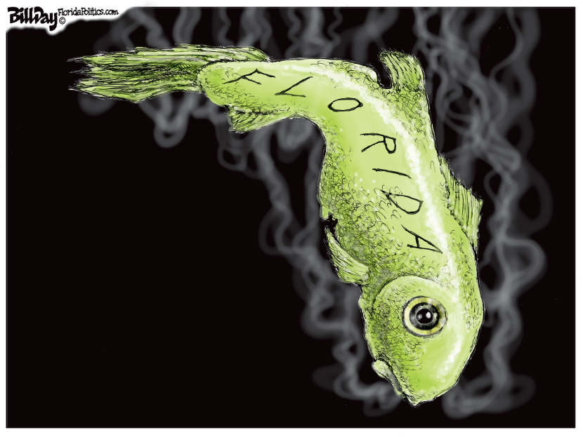 Florida Fish