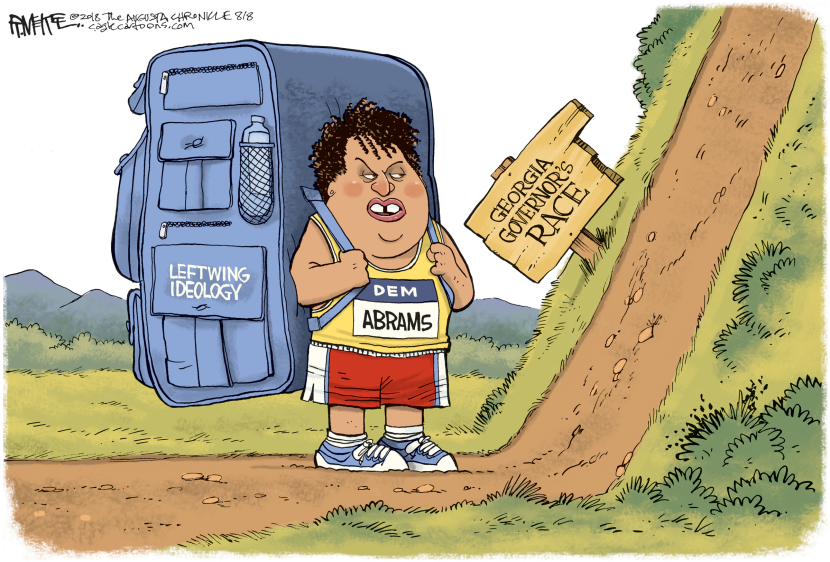 Stacey Abrams GA LOCAL