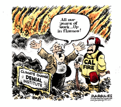 CALIFORNIA WILDFIRES  by Jimmy Margulies