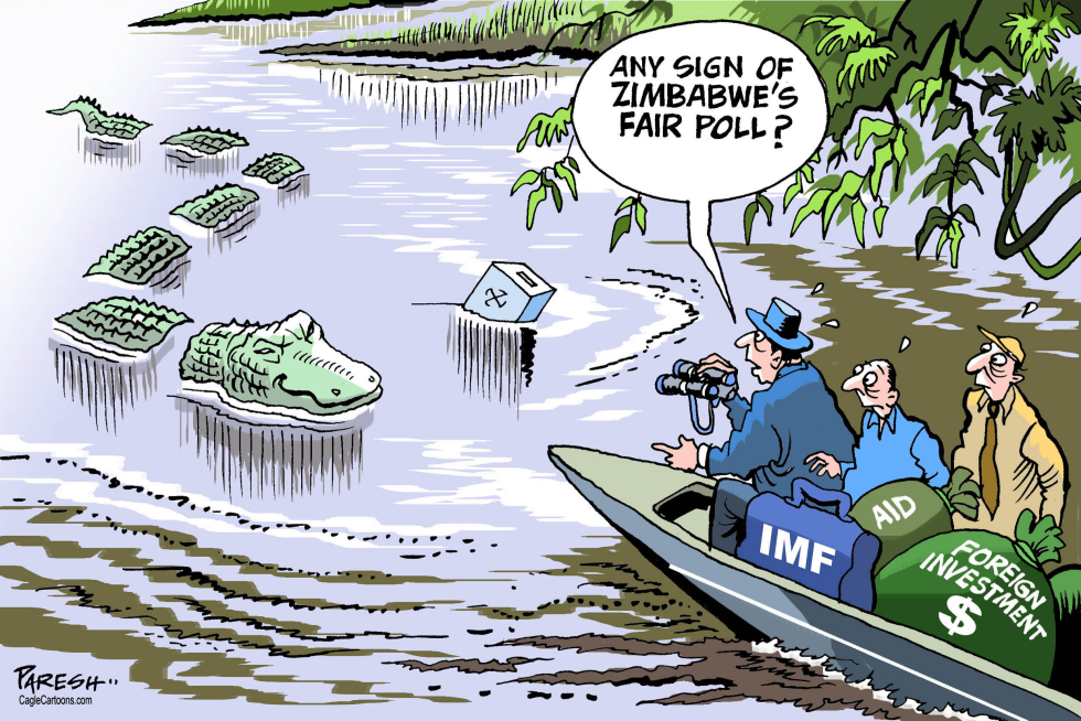  IMF AND ZIMBABWE POLL by Paresh Nath