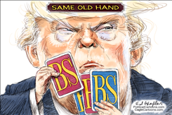 TRUMP BS CARDS by Ed Wexler