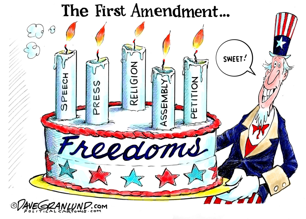  1ST AMENDMENT FREEDOMS by Dave Granlund