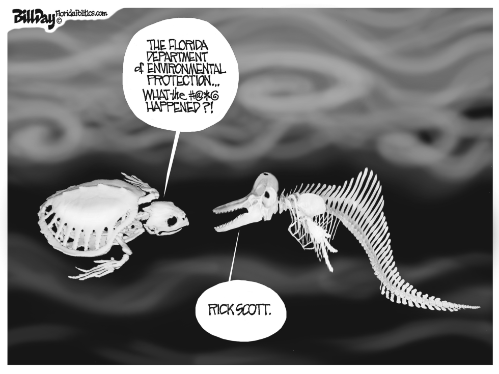 Red Tide/Green Algae