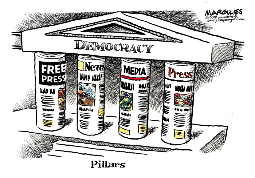 Newspapers Form the Structural Pillars of Democracy
