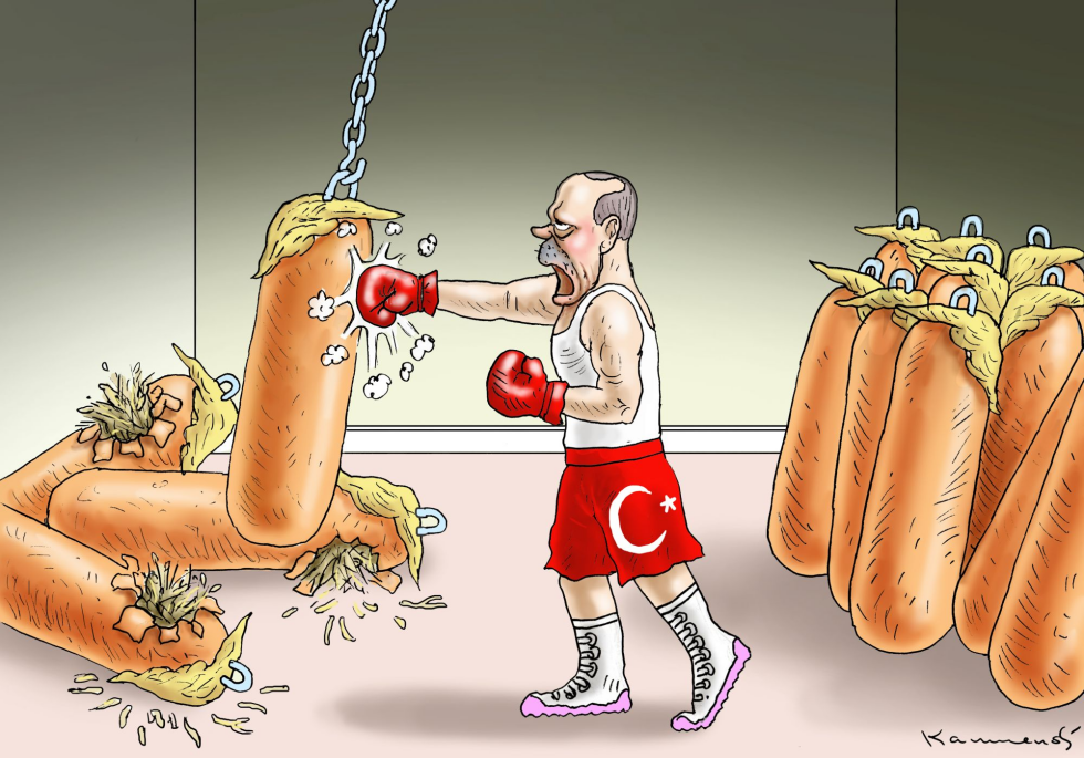 Erdogans Punching Bag