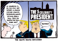 THE WHITE HOUSE EXPLAINED by Ingrid Rice