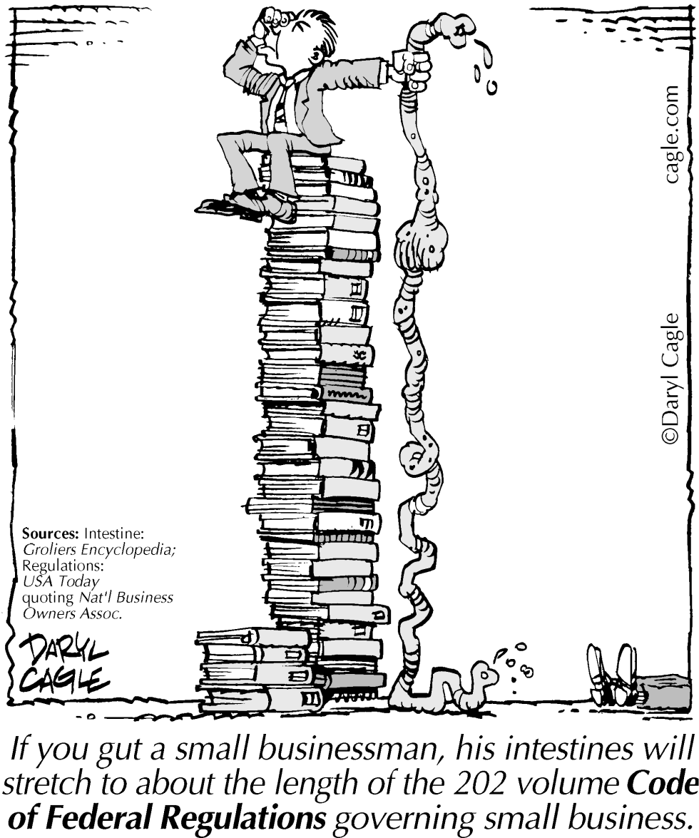 TRUE - Regulation Guts