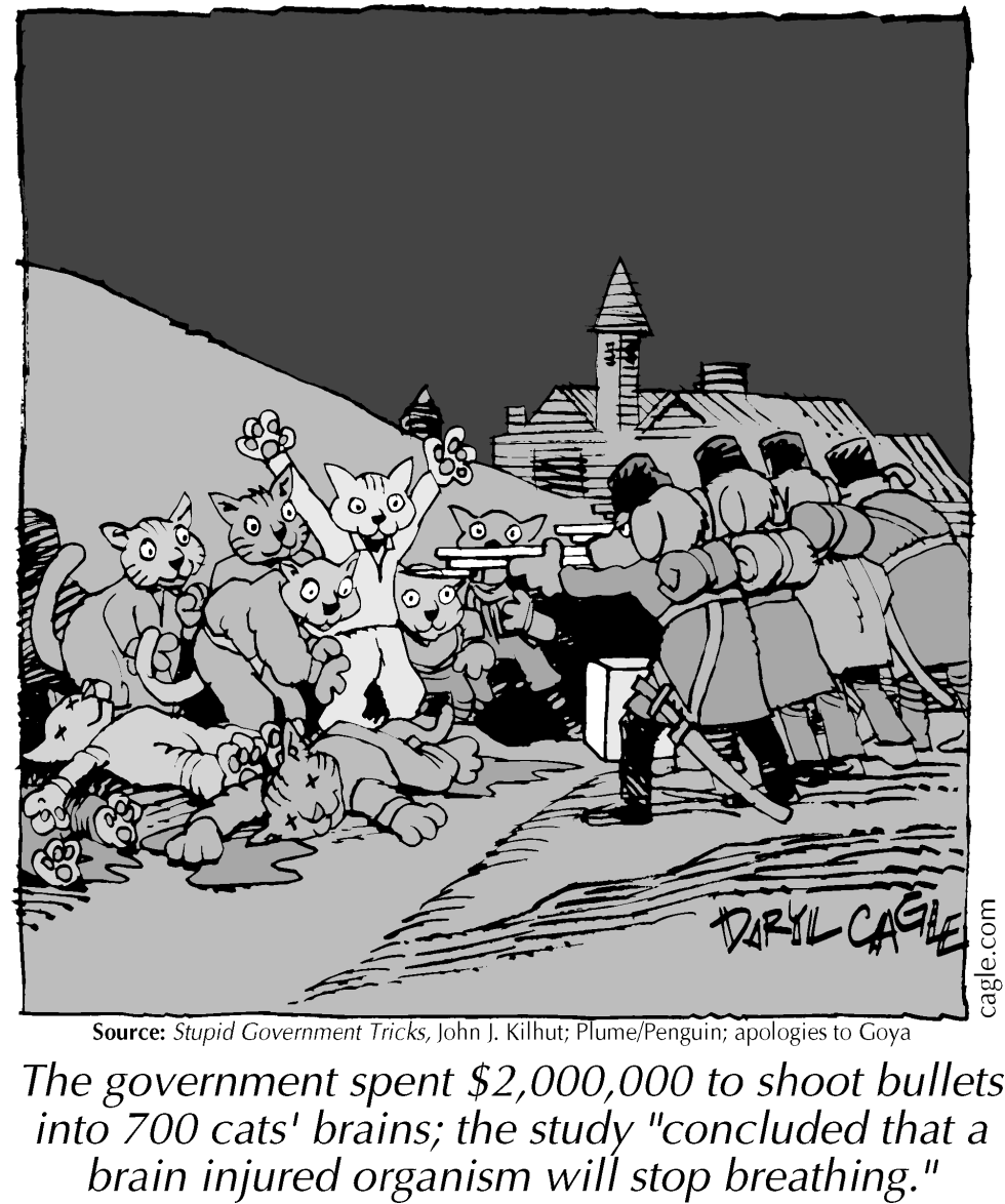 TRUE - Kitty Goya