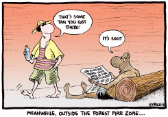 OUTSIDE THE FOREST FIRE ZONE by Ingrid Rice