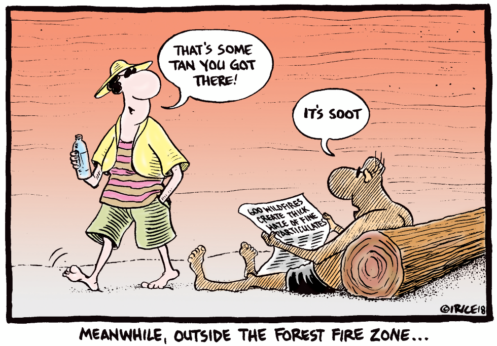 Beachgoers joke about wildfire soot as haze spreads beyond fire zones