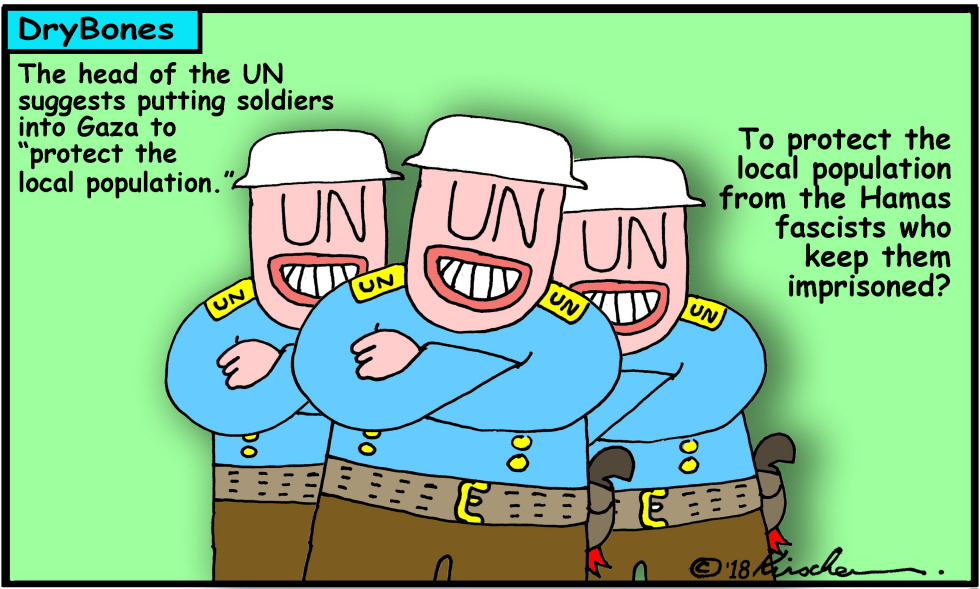  UN SOLDIERS IN GAZA by Yaakov Kirschen