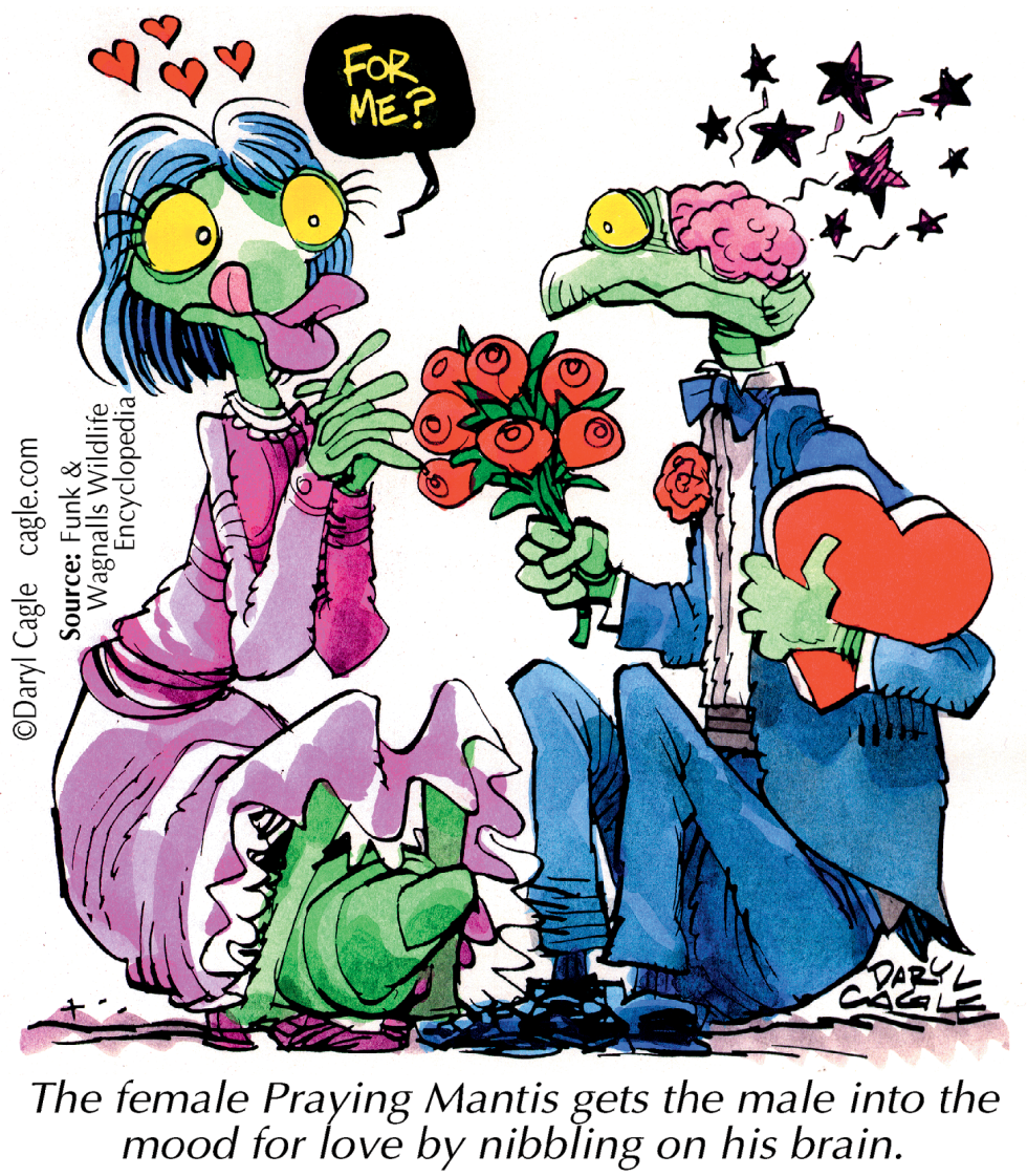 TRUE - Mantis Brain COLOR