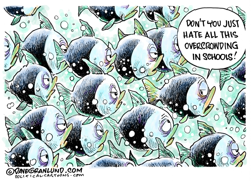 Overcrowding in schools