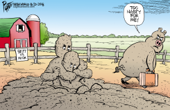 LOCAL OK NEGATIVE CAMPAIGNING OKLAHOMA by Bruce Plante