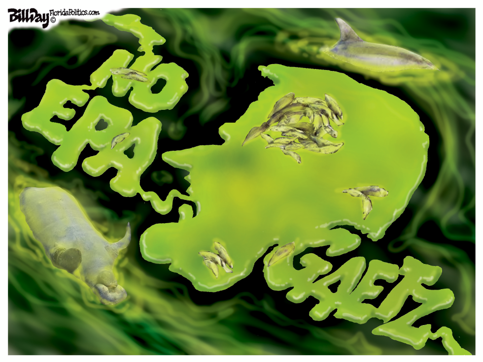 Gaetz and Algae FLORIDA