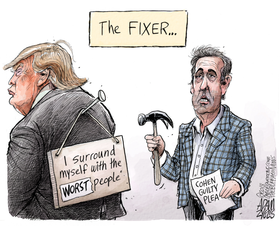 Cohen guilty