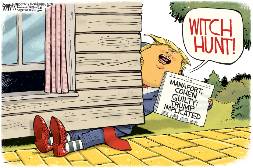 Trump Witch