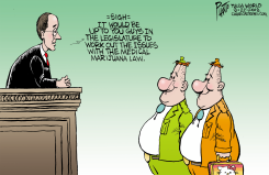 LOCAL OK WHO WOULD MAKE THE MARIJUANA RULES by Bruce Plante