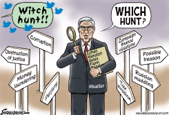 MUELLER WHICH HUNT by Steve Greenberg