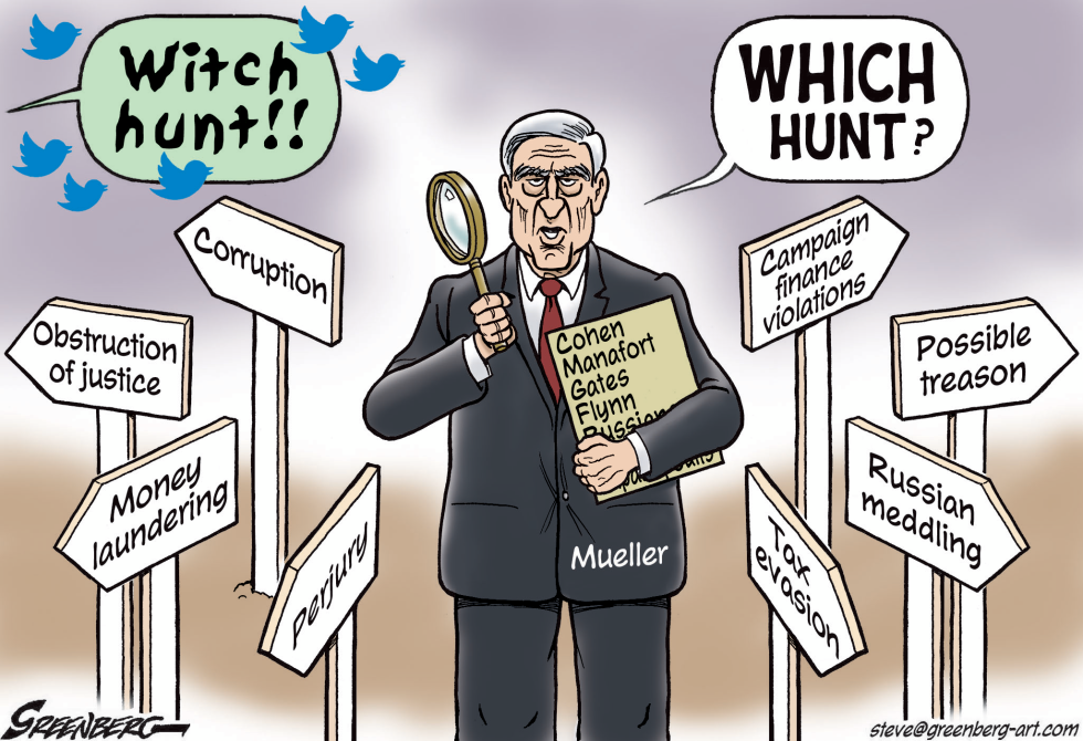 Mueller Which Hunt