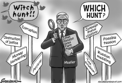 MUELLER WHICH HUNT BW by Steve Greenberg