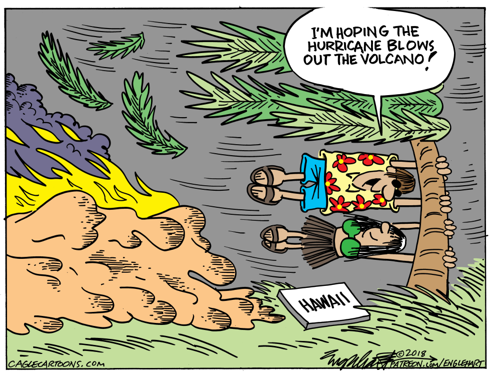  HURRICANE LANE by Bob Englehart