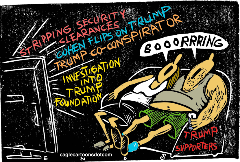 Trump Supporters COLOR