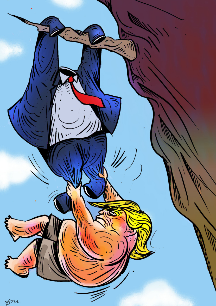 Out On A Limb