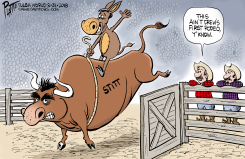 LOCAL OK THE BULL AND THE DONKEY by Bruce Plante