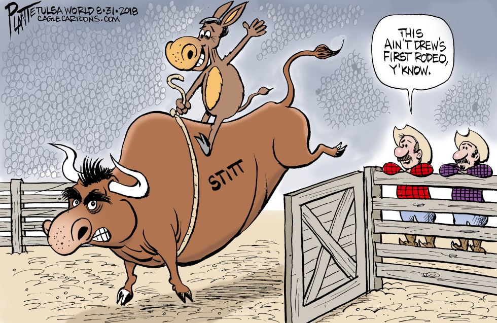 LOCAL OK The Bull and the Donkey