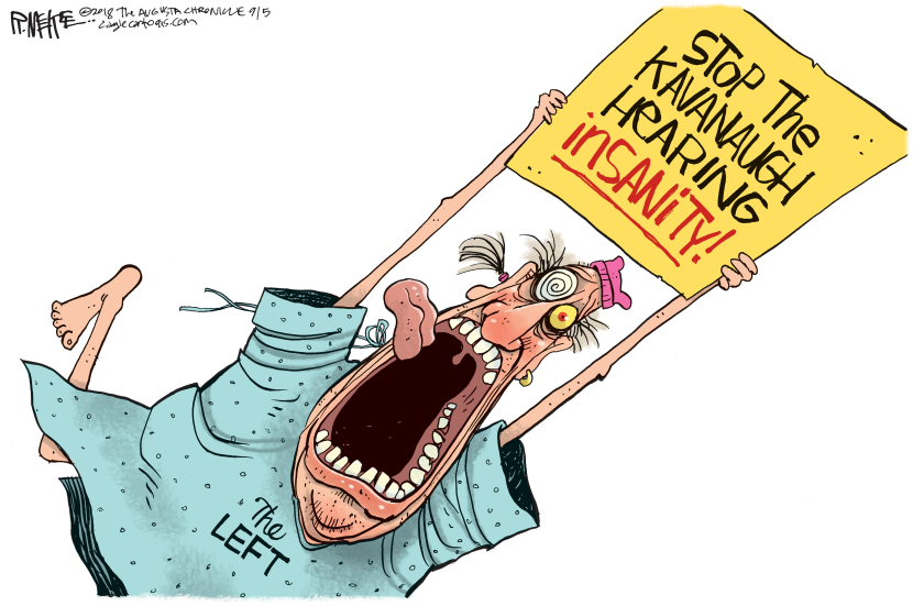 Kavanaugh Hearing Insanity