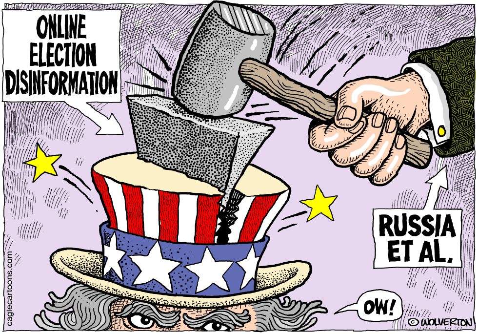 Online Election Disinformation