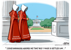 THE HANDMAID'S SENATORS by R.J. Matson