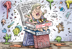 WOODWARD BOOK PLUS by Joe Heller