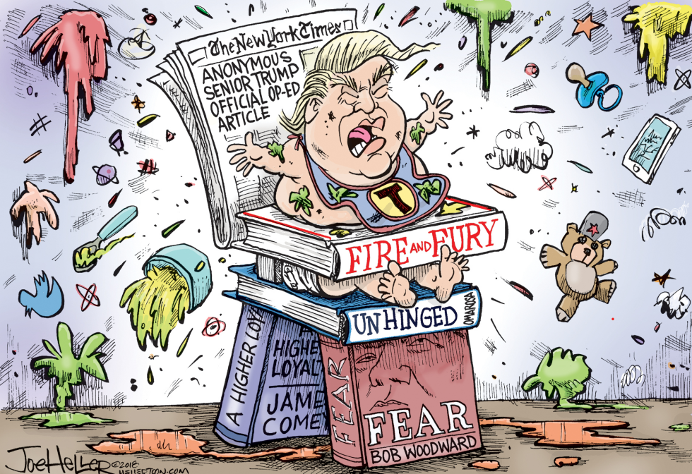 Woodward Book Plus