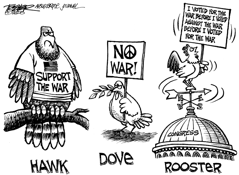 War Birds