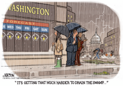 RAINY WASHINGTON WEATHER MAKES IT HARDER TO DRAIN THE SWAMP by R.J. Matson