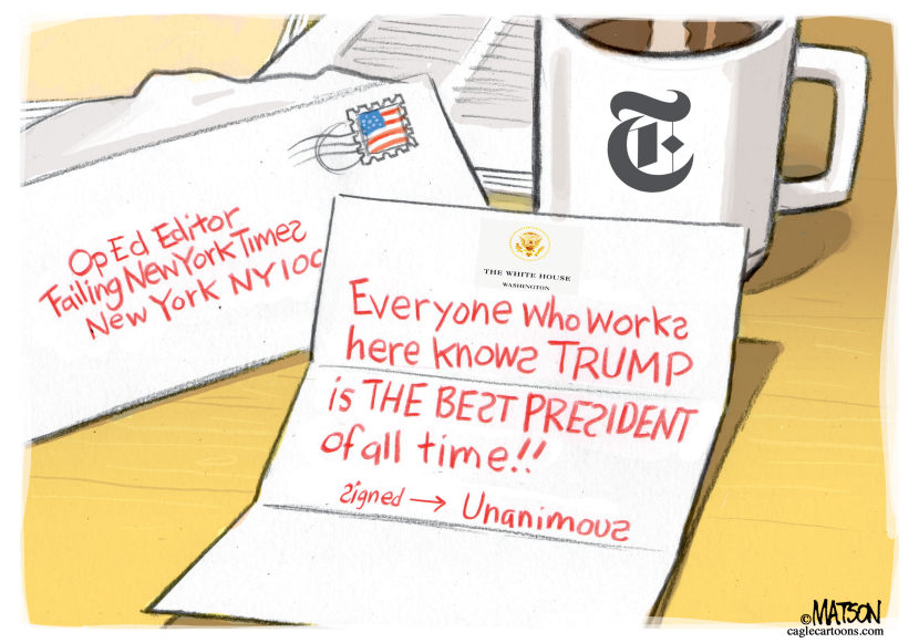 Anonymous Op Ed Praising Trump