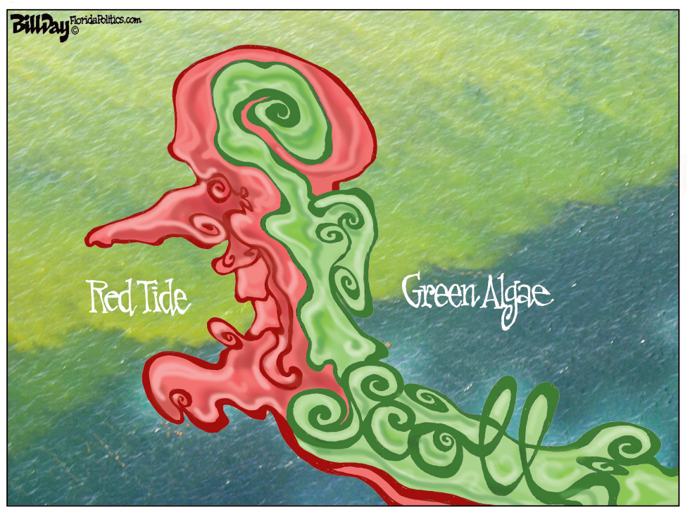 Scott Algae FLORIDA
