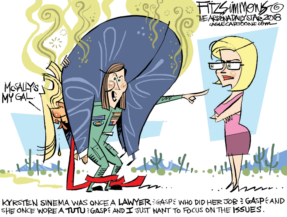  ARIZONA SENATE RACE by David Fitzsimmons