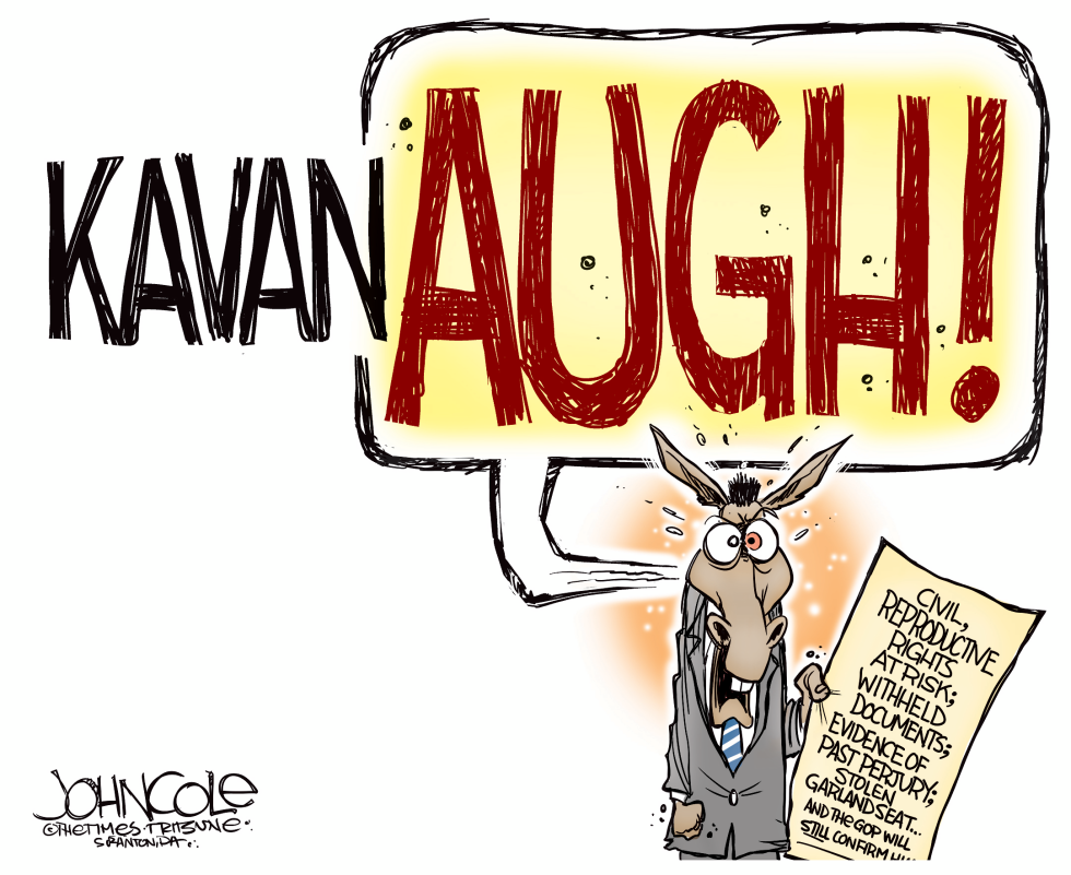  KAVANAUGH by John Cole