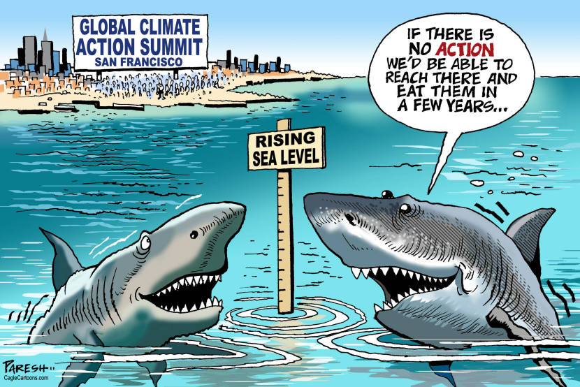 Climate Action summit