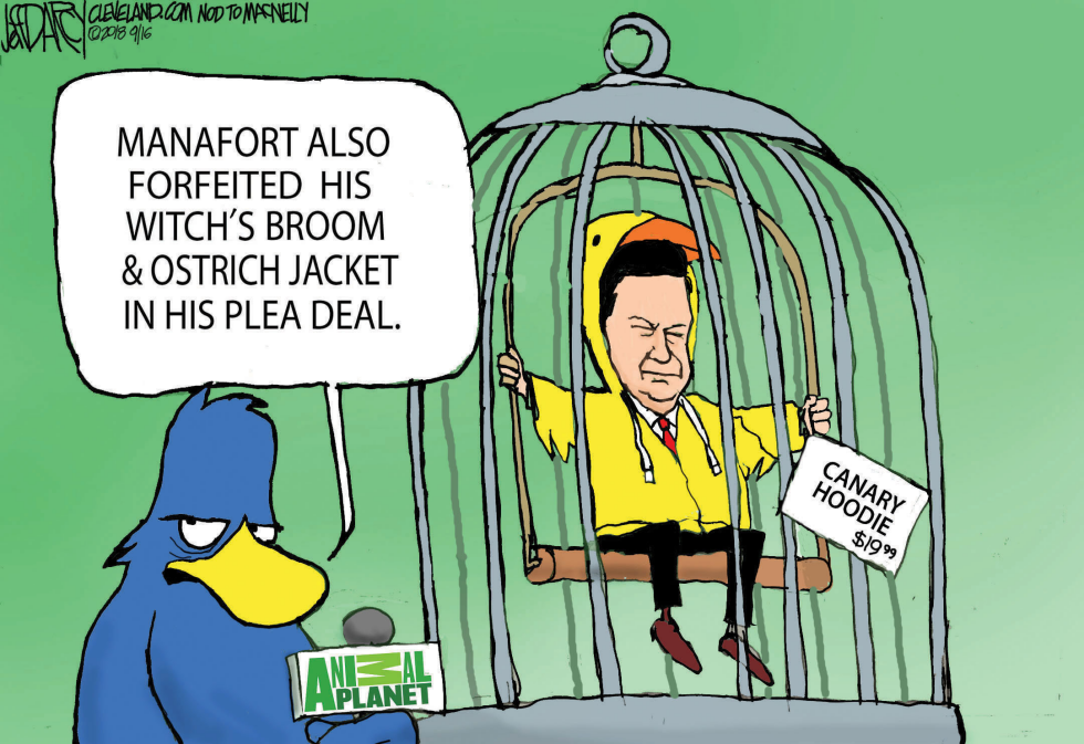 Manafort Plea Deal