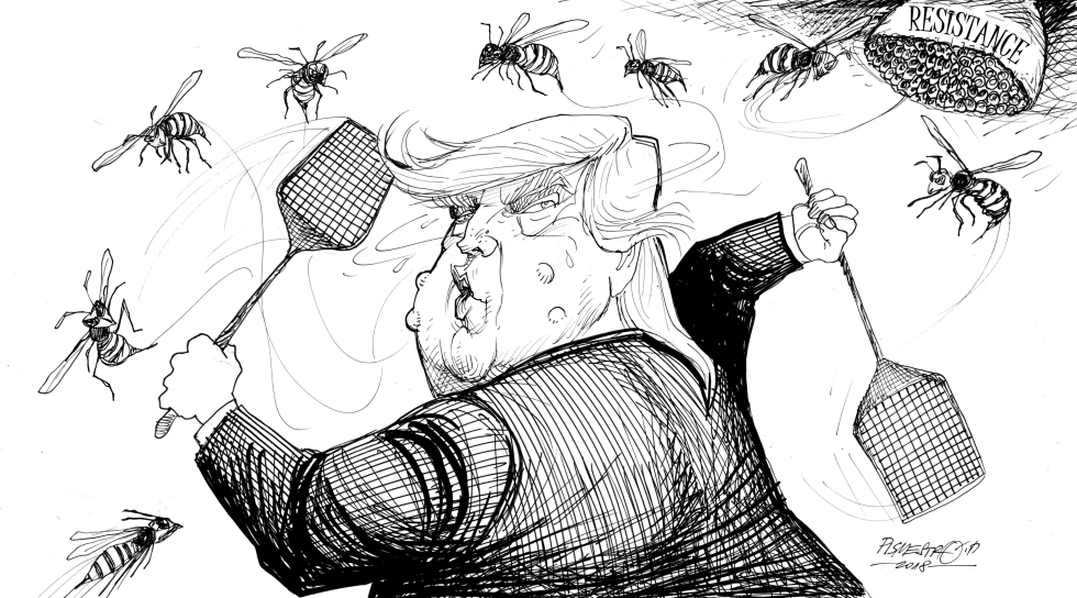 Wasps time