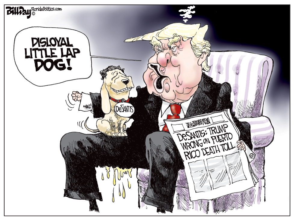  DISLOYAL LAP DOG FLORIDA by Bill Day