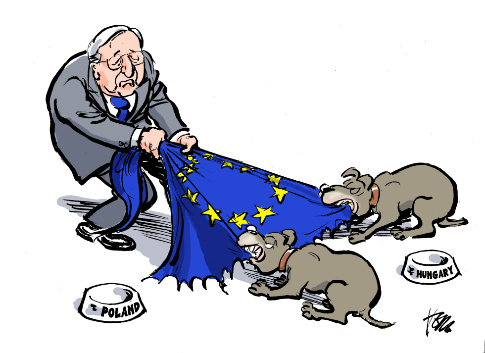  EU, POLAND AND HUNGARY by Tom Janssen