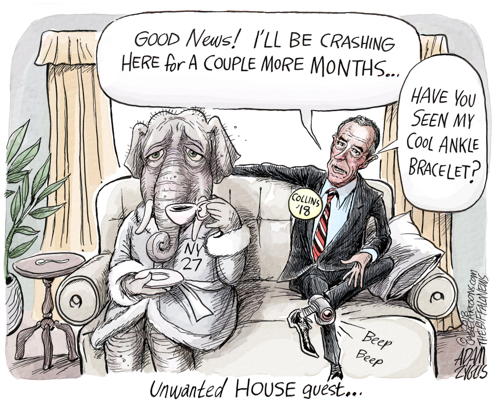  CHRIS COLLINS SEAT by Adam Zyglis