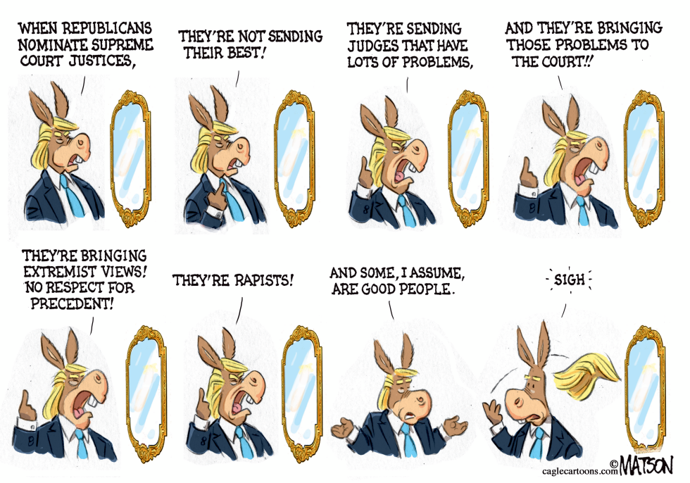  TRUMP DEMOCRAT by RJ Matson