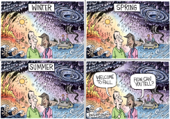 FALL BEGINS by Joe Heller