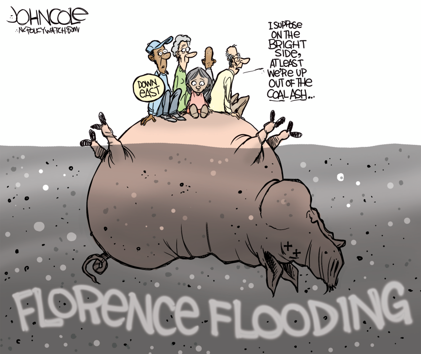 Florence flood damage